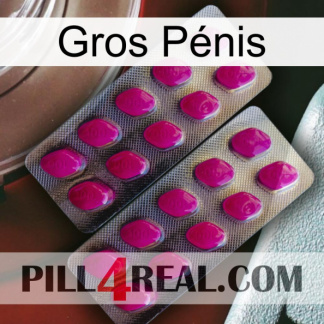 Gros Pénis 10